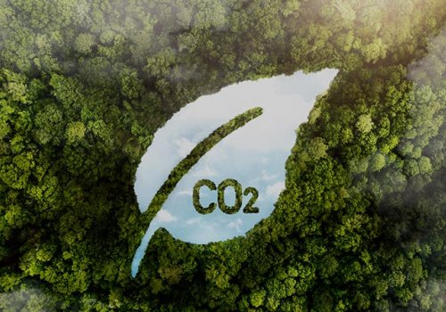 Cálculo y Análisis de la Huella de Carbono Corporativa