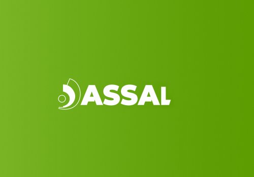 Responsabilidades de Director Técnico en Industrias de Envases